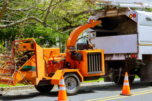 Best Hazardous Tree Removal  in Durand, IL