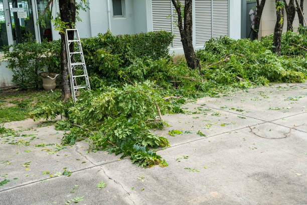 Best Grass Overseeding  in Durand, IL