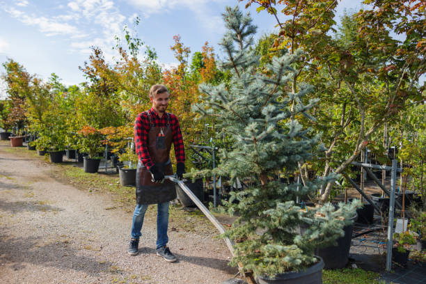 Best Emergency Tree Removal  in Durand, IL